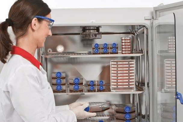 Chamber & Freezer calibration in Singapore
